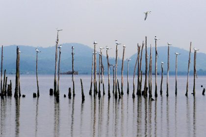 Governo promete retomar obras de saneamento na Baía de Guanabara em março