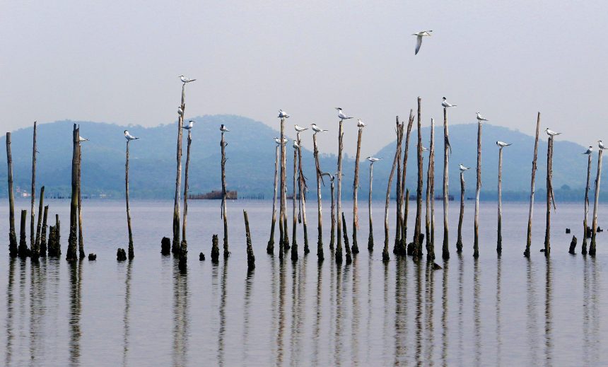 Governo promete retomar obras de saneamento na Baía de Guanabara em março
