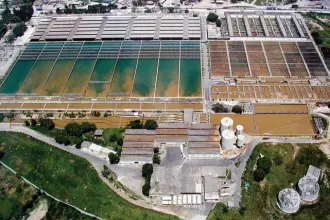 Procon Carioca notifica Cedae por falhas no abastecimento de água no Rio