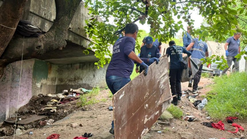 Agentes da Seop e da Subprefeitura atuam em ponto que servia de abrigo para pessoas em situação de rua