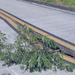 WhatsApp Image 2026 02 23 at 12.08.02