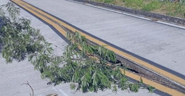 WhatsApp Image 2026 02 23 at 12.08.02 e1771860886156