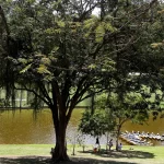 Projeto que autoriza concessão de parques gera reação da esquerda e tem votação adiada na Câmara do Rio