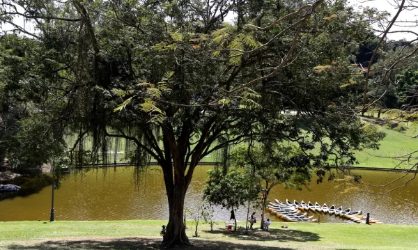 Projeto que autoriza concessão de parques gera reação da esquerda e tem votação adiada na Câmara do Rio