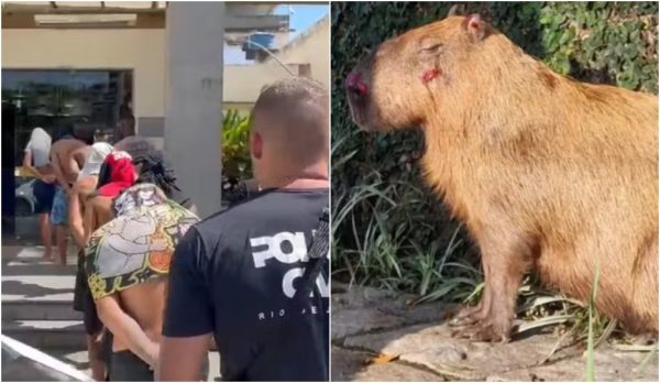 Justiça do Rio mantém prisão de seis acusados de espancar capivara na Ilha do Governador; dois adolescentes foram apreendidos