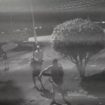 Polícia Civil prende grupo acusado de atacar capivara na Ilha do Governador