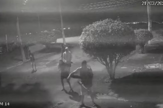 Polícia Civil prende grupo acusado de atacar capivara na Ilha do Governador