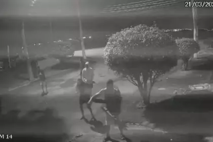 Polícia Civil prende grupo acusado de atacar capivara na Ilha do Governador