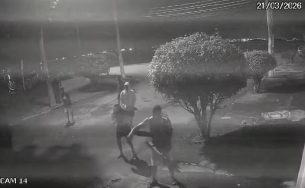 Polícia Civil prende grupo acusado de atacar capivara na Ilha do Governador