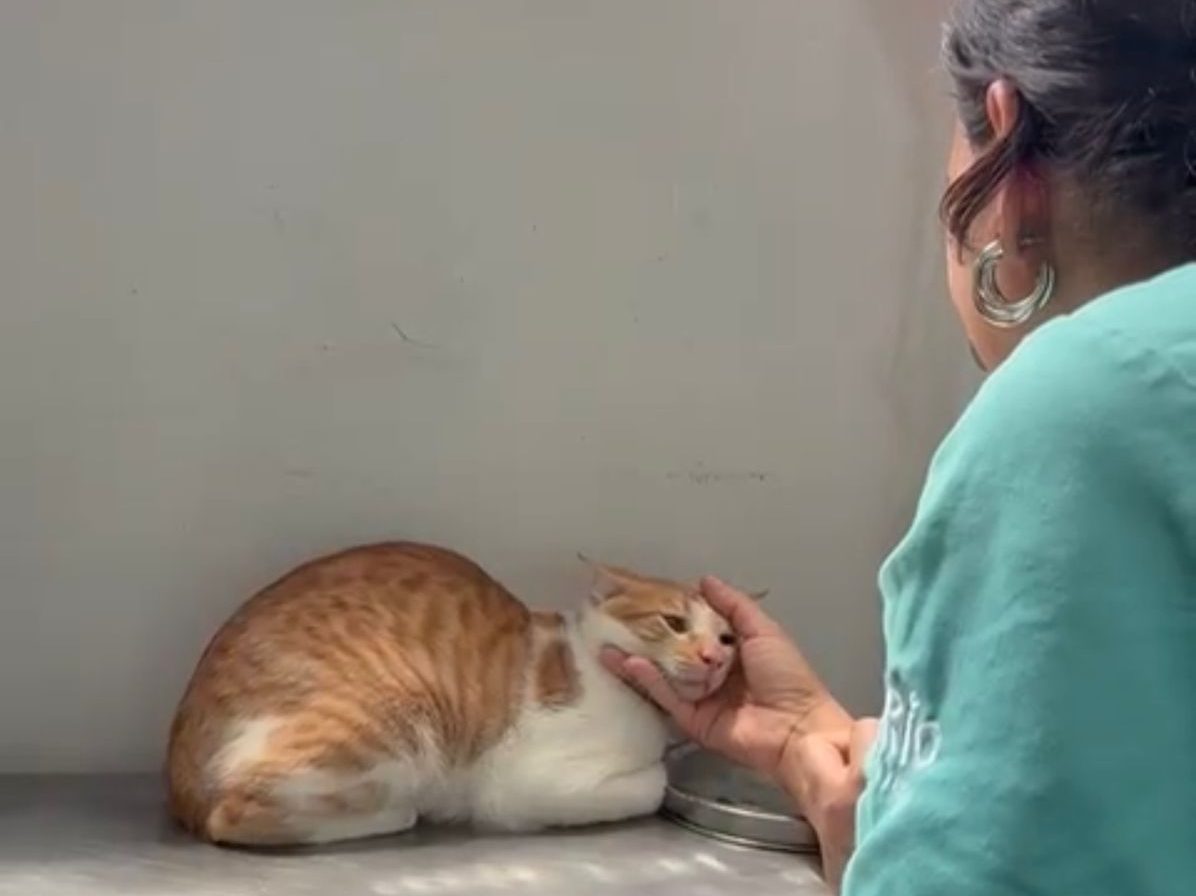 WhatsApp Image 2026 03 09 at 14.31.34 edited