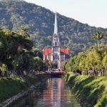 Árvores em Petrópolis