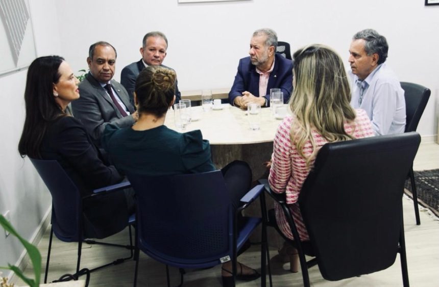 Carlos Lupi, a senadora Leila Barros (DF) e os deputados Max Lemos (RJ), Félix Mendonça (BA) e André Figueiredo (CE) recebem Luiza Brunet em Brasília