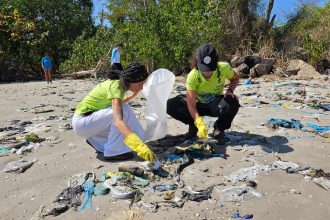 WhatsApp Image 2026 03 18 at 15.46.10