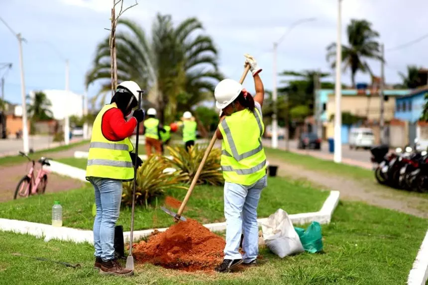 Funcionários plantão mudas de árvores nas ruas de Macaé