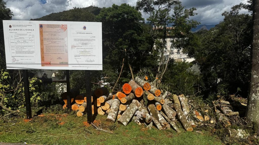 Construtora derruba 101 árvores em área de proteção ambiental; mesmo com autorização da Prefeitura de Petrópolis, ação divide moradores 63 WhatsApp Image 2026 03 26 at 09.01.01