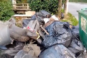 WhatsApp Image 2026 03 27 at 19.02.37 2