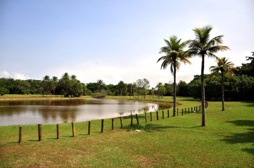 Bosque da Barra