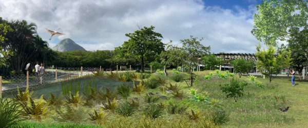 Projeto de naturalização da Lagoa Rodrigo de Freitas inicia nova fase e intervenções chegam ao Parque dos Patins