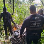 WhatsApp Image 2026 04 07 at 17.35.11