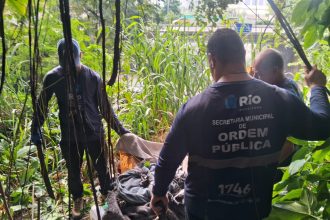 WhatsApp Image 2026 04 07 at 17.35.11