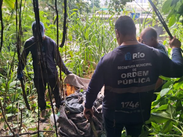 Prefeitura do Rio desmonta acampamento irregular em área de mata acima do Túnel do Pasmado, em Botafogo 53 Prefeitura do Rio desmonta acampamento irregular em área de mata acima do Túnel do Pasmado, em Botafogo