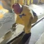 WhatsApp Image 2026 04 11 at 15.19.22