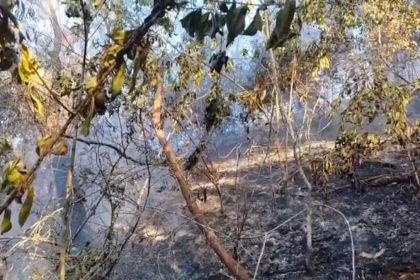 incendio floresta tijuca