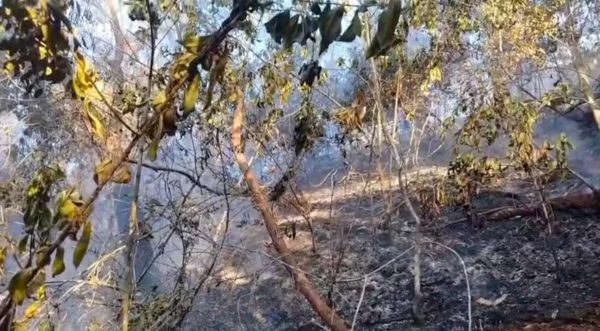 Queda de balão causa incêndio na Floresta da Tijuca e interdita 5 trilhas; combate às chamas já dura mais de 24 horas