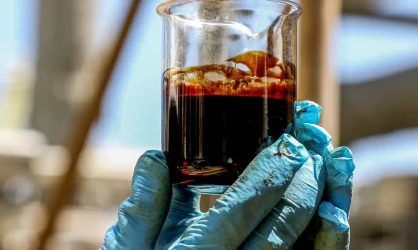 Petróleo extraído no Rio, royalties