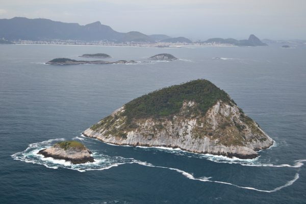 Projeto Ilhas do Rio passa a integrar programa nacional do ICMBio e identifica espécies ameaçadas nas Cagarras