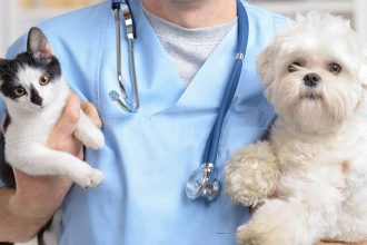 Alerj aprovou projeto que autoriza a criação de um Instituto Médico Veterinário Legal