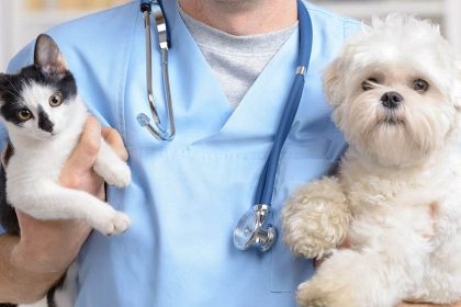 Alerj aprovou projeto que autoriza a criação de um Instituto Médico Veterinário Legal
