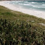 decisao mpf cabo frio