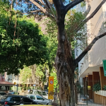 Bairro Peixoto, em Copacabana