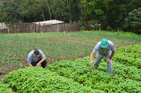Projeto aprovado pela Alerj prorroga benefício fiscal para insumos agropecuários e determina acompanhamento dos impactos da medida no setor rural