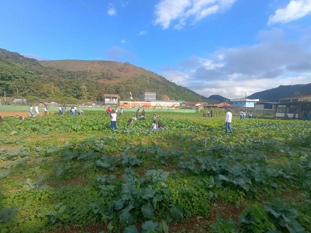 Escolas agrícolas do estado do Rio enfrentam esvaziamento e redução de 64%; das 14 unidades nos anos 80, restam apenas cinco