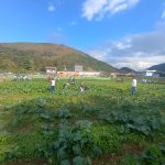 escolas agrícolas