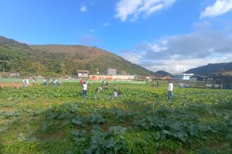 escolas agrícolas