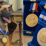 Além da Medalha Tiradentes tradicional, Hulk recebeu uma em formato de osso, em uma coleira