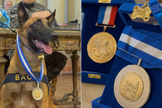Além da Medalha Tiradentes tradicional, Hulk recebeu uma em formato de osso, em uma coleira