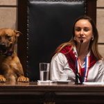 Cão Leão em mesa de honra na Câmara do Rio