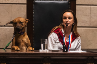 Cão Leão em mesa de honra na Câmara do Rio