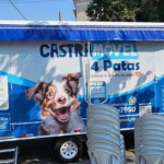 Castramóvel 4 patas realiza ação na Zona Norte