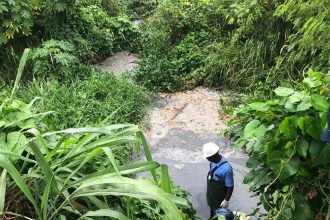 esgoto irregular na Lagoa de Piratininga, em Niterói