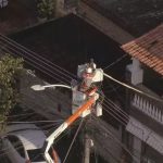 gato resgate poste