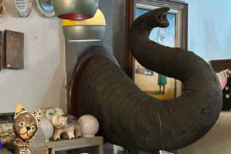 Tromba de elefante encontrada em antiquário no Centro do Rio