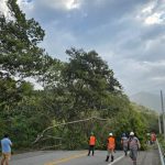 Ventos derrubam árvore e fecham via no Rio