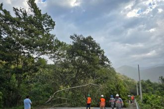 Ventos derrubam árvore e fecham via no Rio