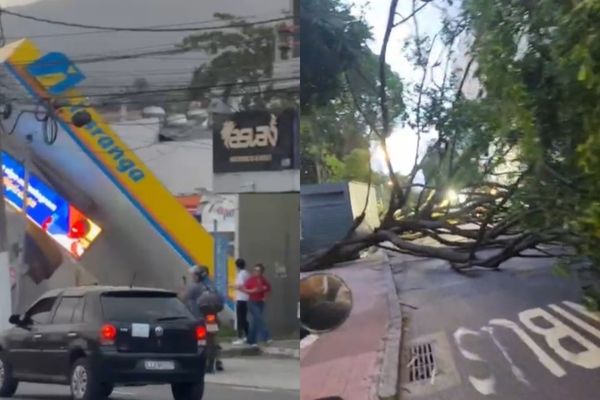 Ventos derrubam árvore perto da Cobal e fecham a Voluntários da Pátria, em Botafogo