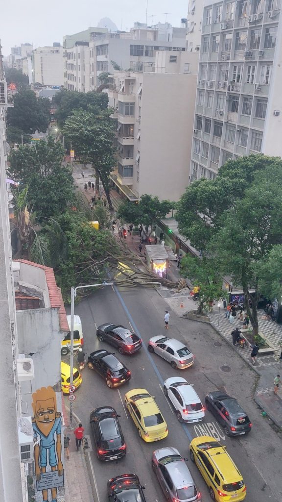Queda de árvore em Botafogo.